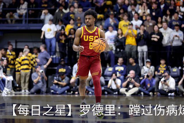 【每日之星】罗德里：蹚过伤病炼狱 在世界杯宣告世一腰归来