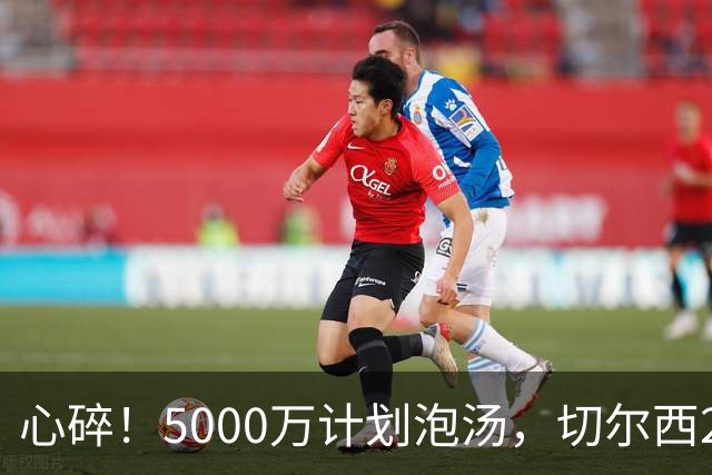 心碎！5000万计划泡汤，切尔西24小时截胡新星，国米马洛塔真束手无策？