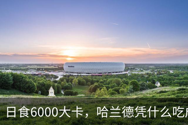 日食6000大卡，哈兰德凭什么吃成足坛怪物世界杯八强刚刚落幕，挪威队的锋线杀手哈兰德用7粒进球证明了自己依旧是足坛最恐怖的前锋