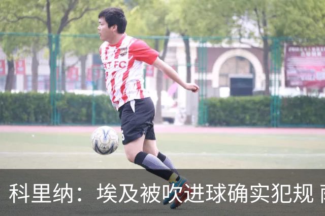 科里纳：埃及被吹进球确实犯规 萨拉赫倒地正常接触